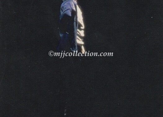 Panini 1996 Trading Card – #56