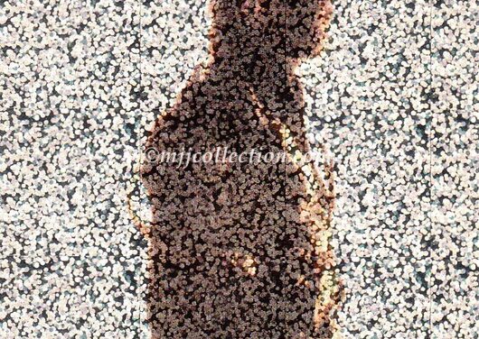 Panini 1996 Trading Card – #76