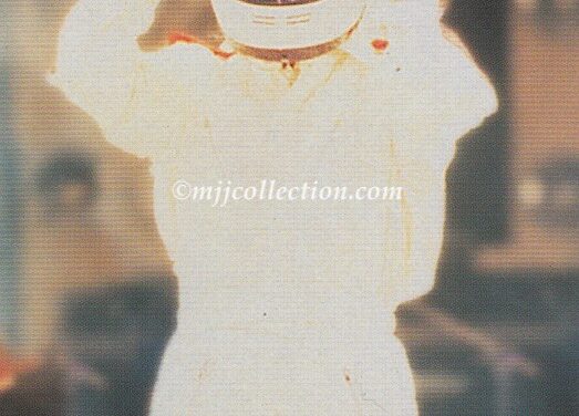 Panini 1996 Trading Card – #84