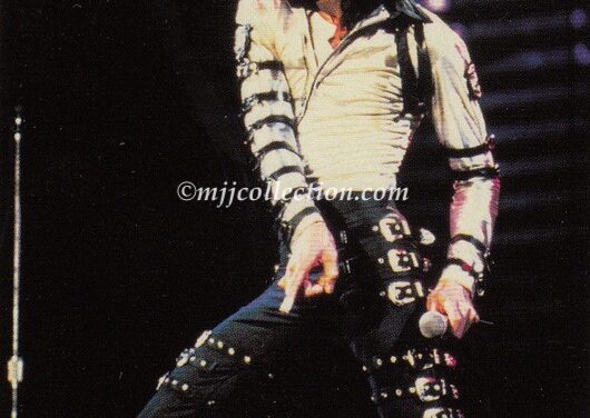 Panini 1996 – Trading Card – #101