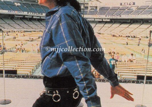 Panini 1996 – Trading Card – #103