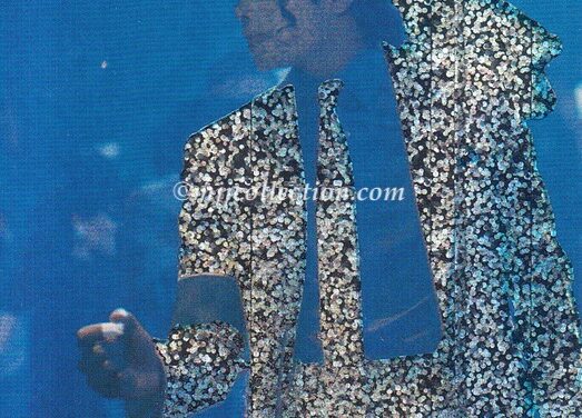 Panini 1996 – Trading Card – #133